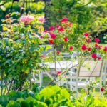 IA pour aménager son jardin