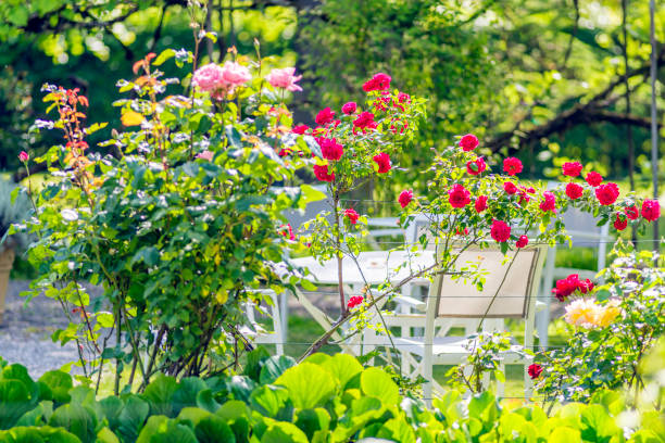 IA pour aménager son jardin