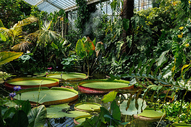 IA pour aménager son jardin