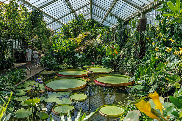 IA pour aménager son jardin